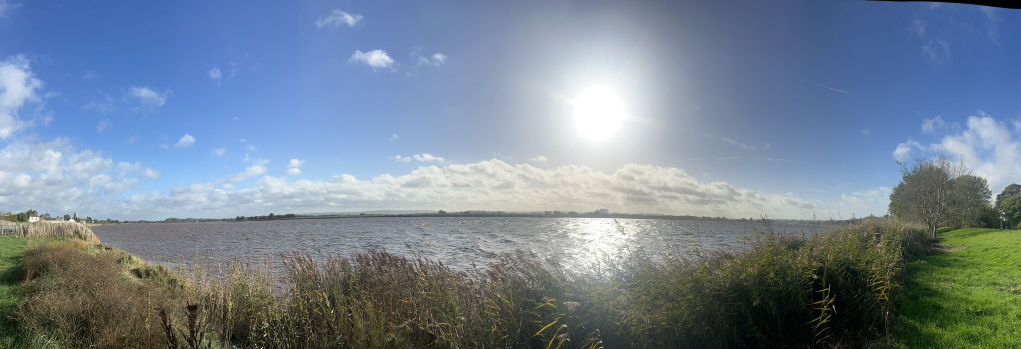 Menus | Silver Fox Café